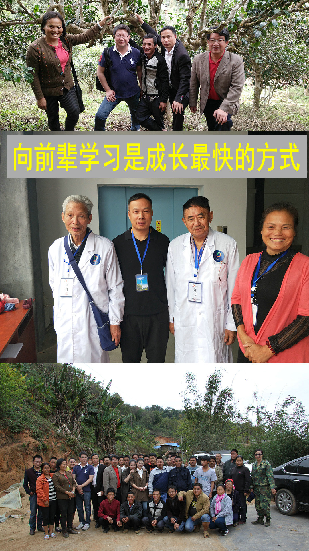 向前辈学习制茶