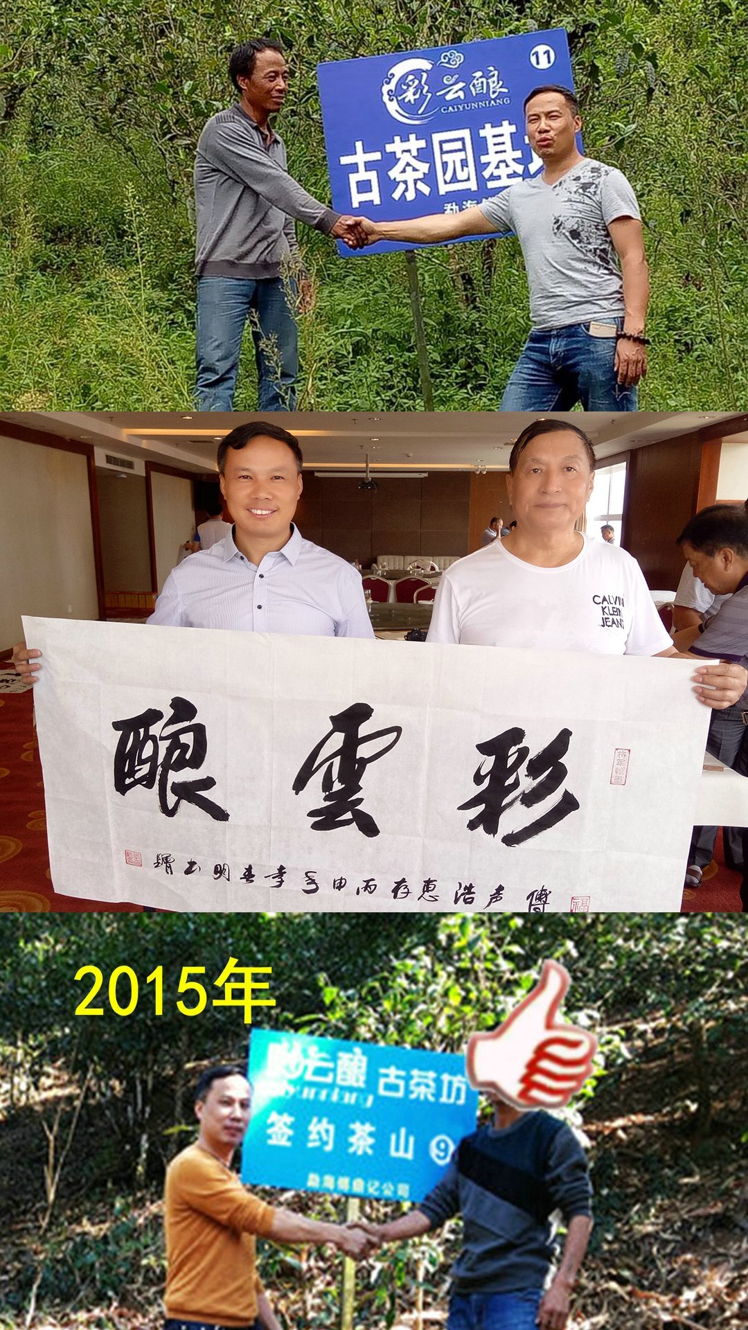 彩云酿古茶园基地