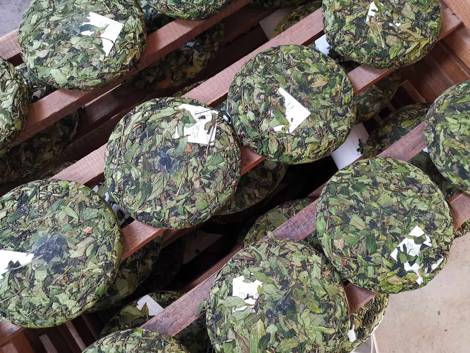 控温控时蒸压成饼